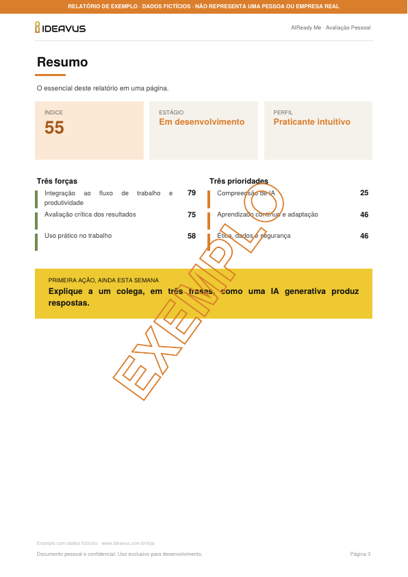 Página de resumo de um relatório de exemplo